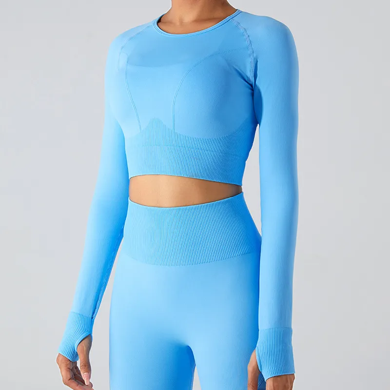 Seamless Long Sleeve Crop Top