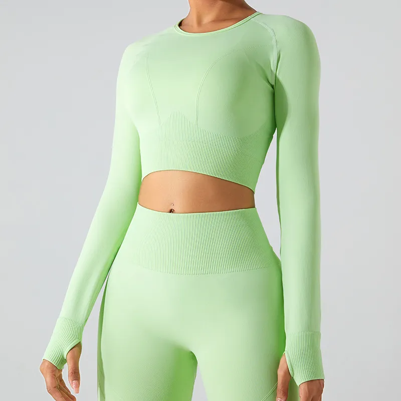 Seamless Long Sleeve Crop Top
