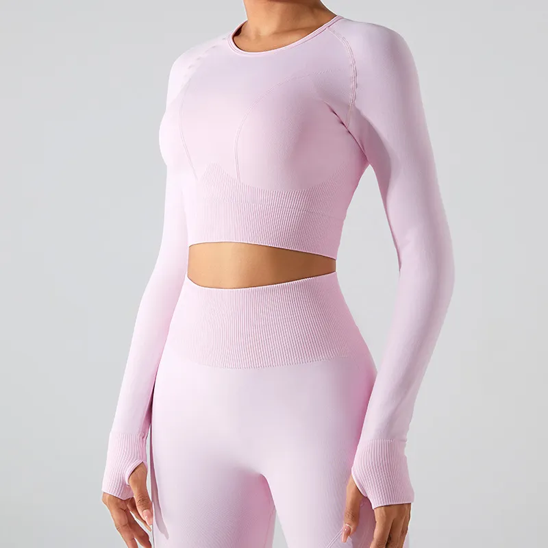 Seamless Long Sleeve Crop Top