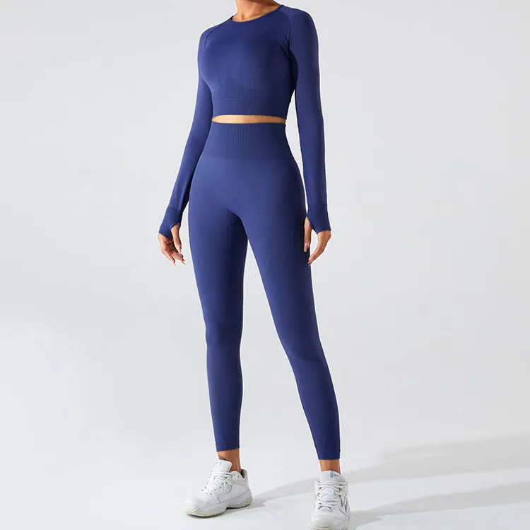 Seamless Long Sleeve Crop Top