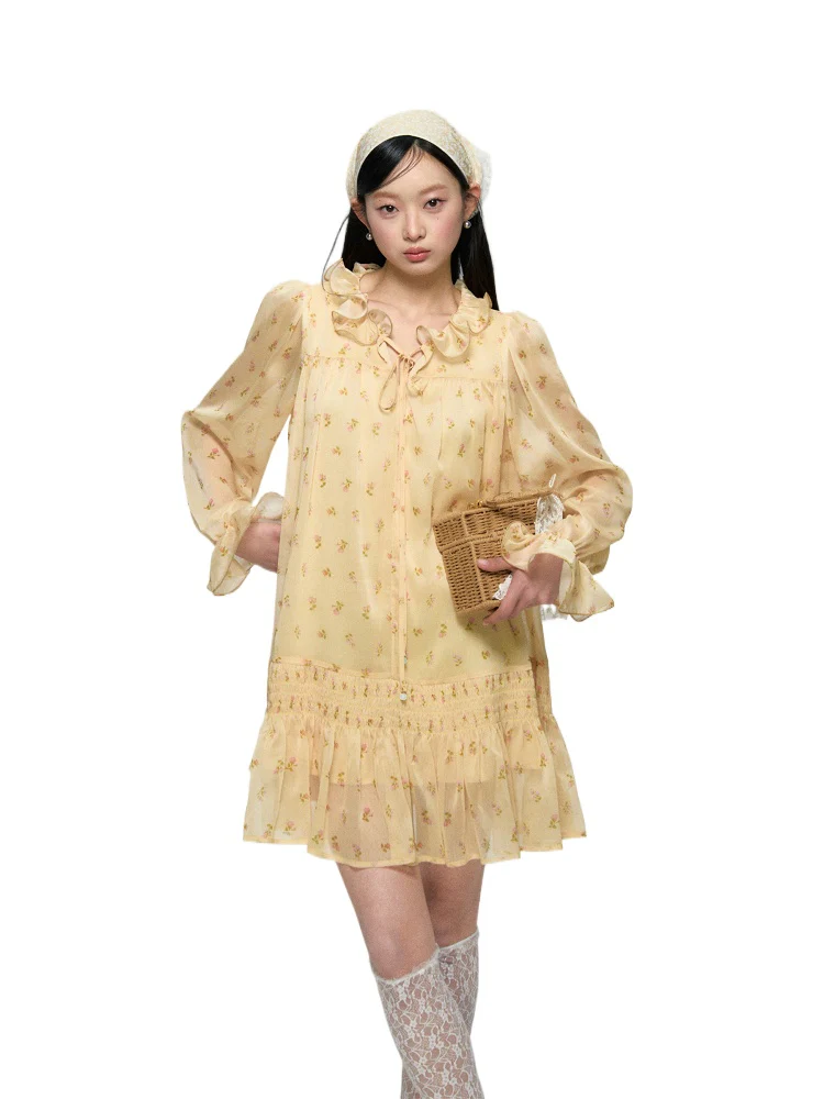 Ruffled Floral Long Sleeve Dress
