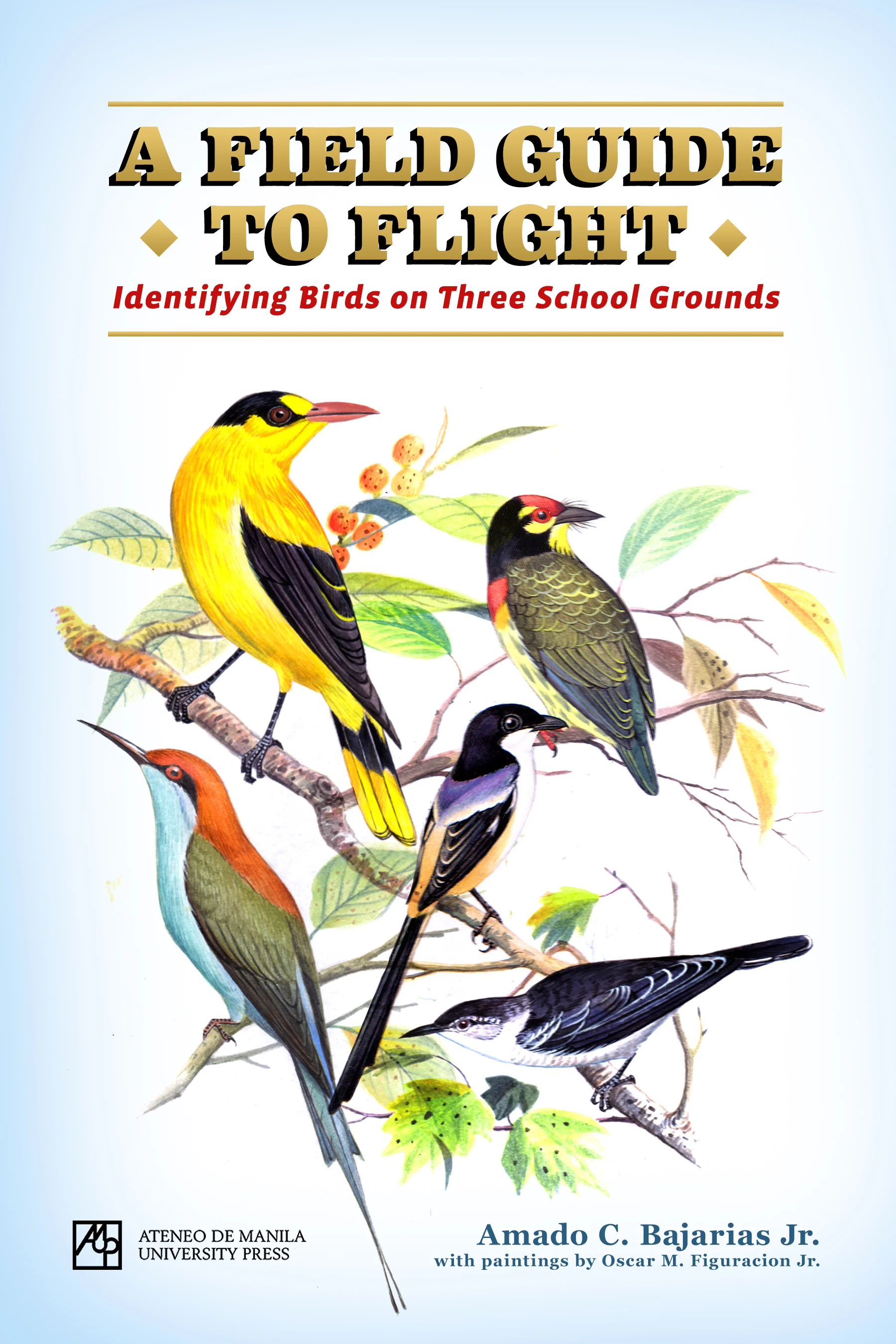 A Field Guide to Flight: Identifying Birds on Three School Grounds