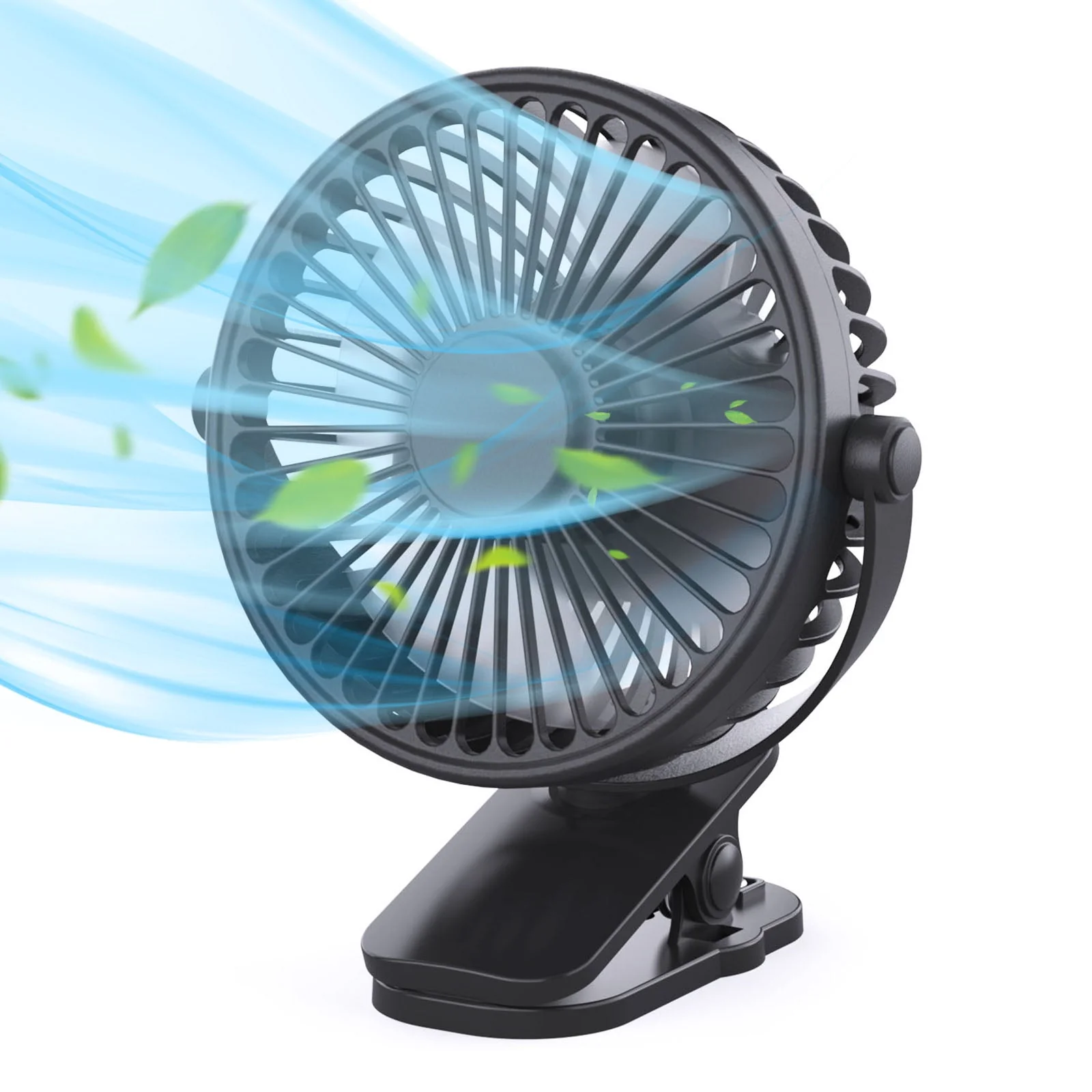 Fan