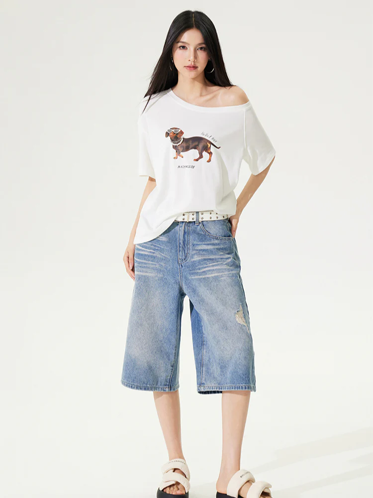 Dachshund Puppy Regular & Slant Shoulder T - shirt
