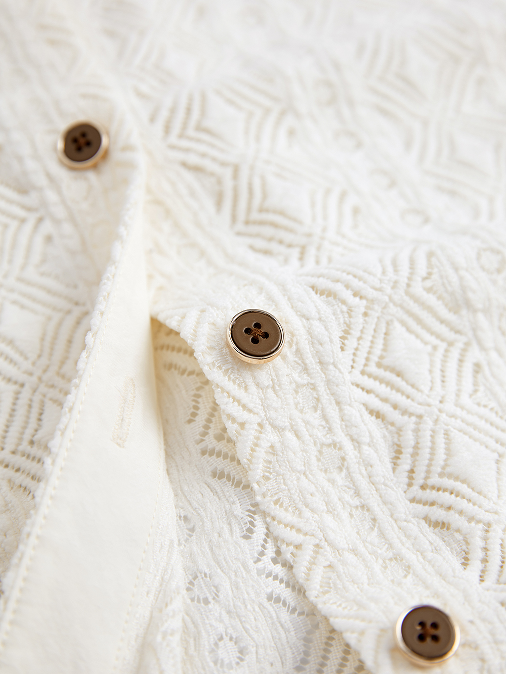 Layered Collar Lace Blouse