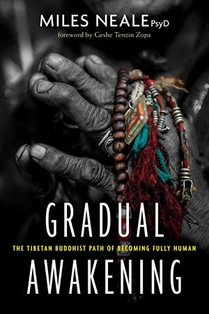 Gradual Awakening(3 books)