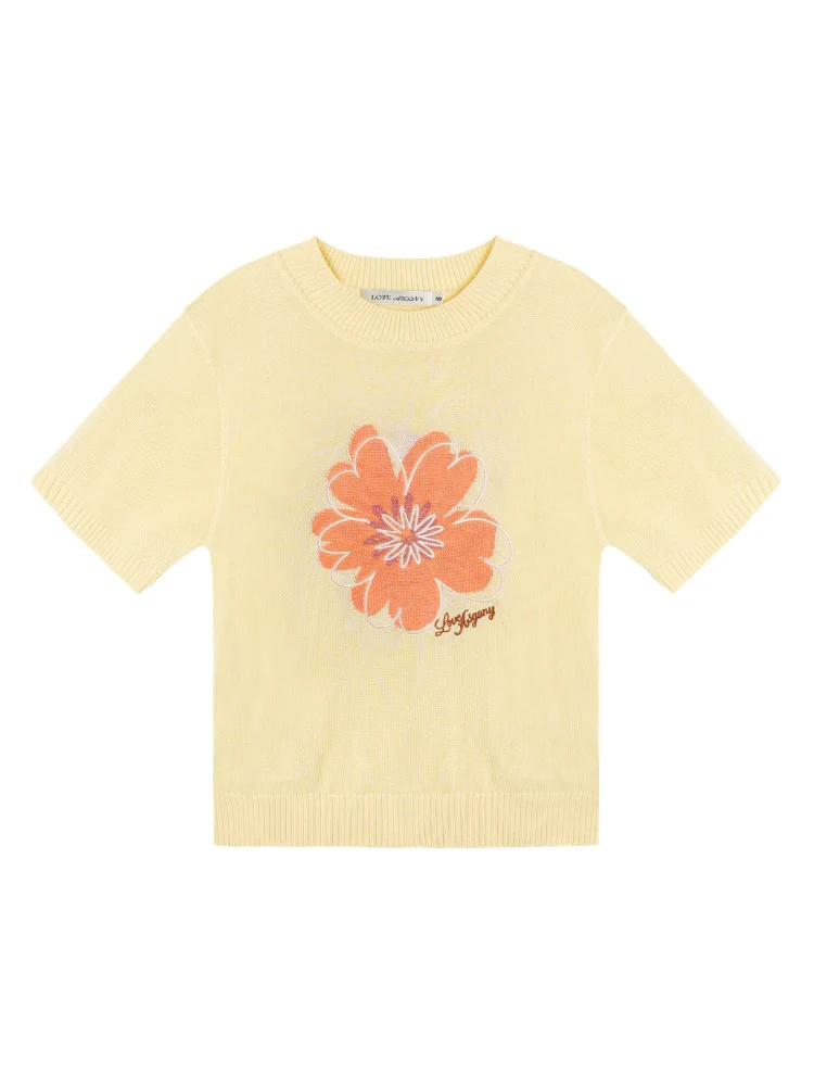 Floral Embroidered Crew Neck Short-Sleeve Knit Top