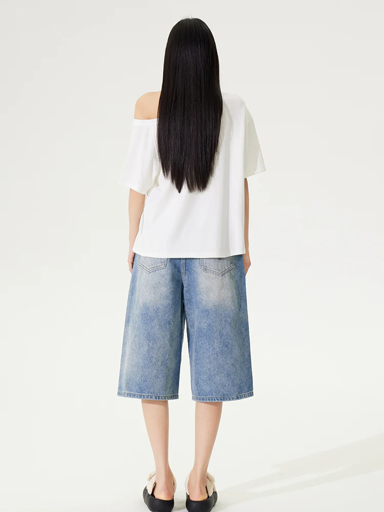 Dachshund Puppy Regular & Slant Shoulder T - shirt