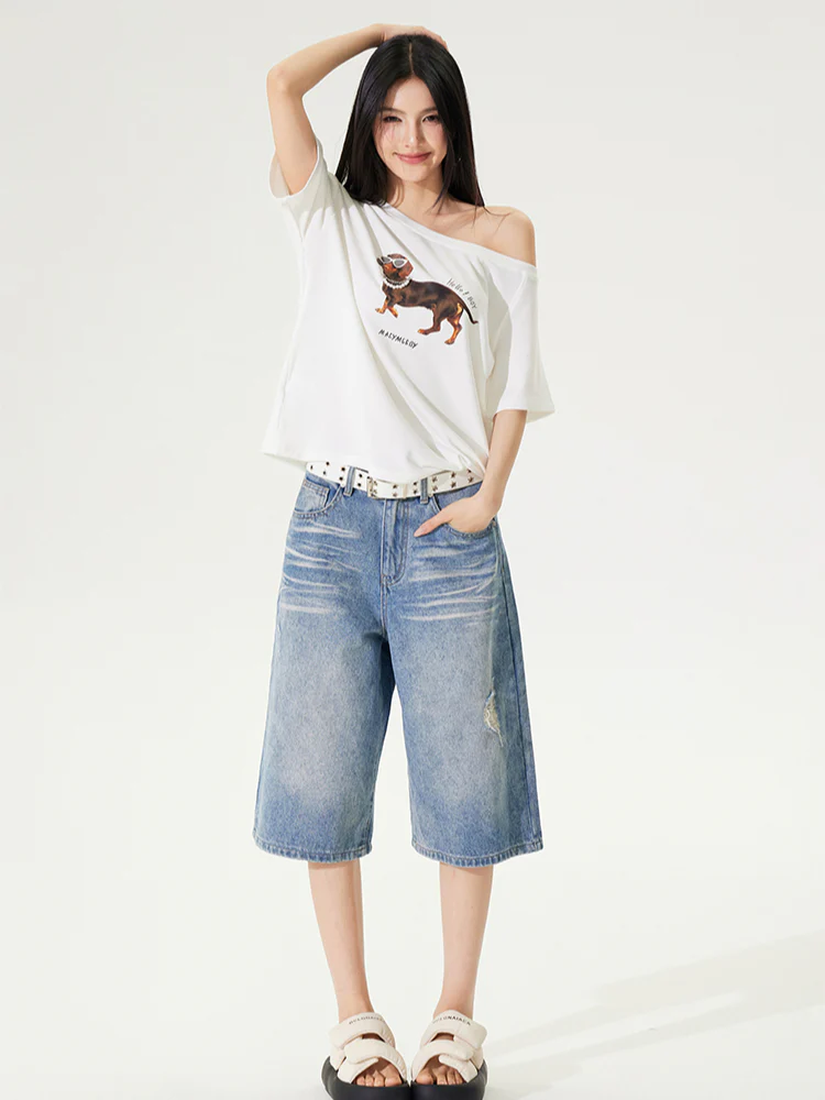 Dachshund Puppy Regular & Slant Shoulder T - shirt