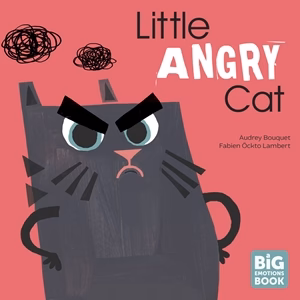 Little Angry Cat