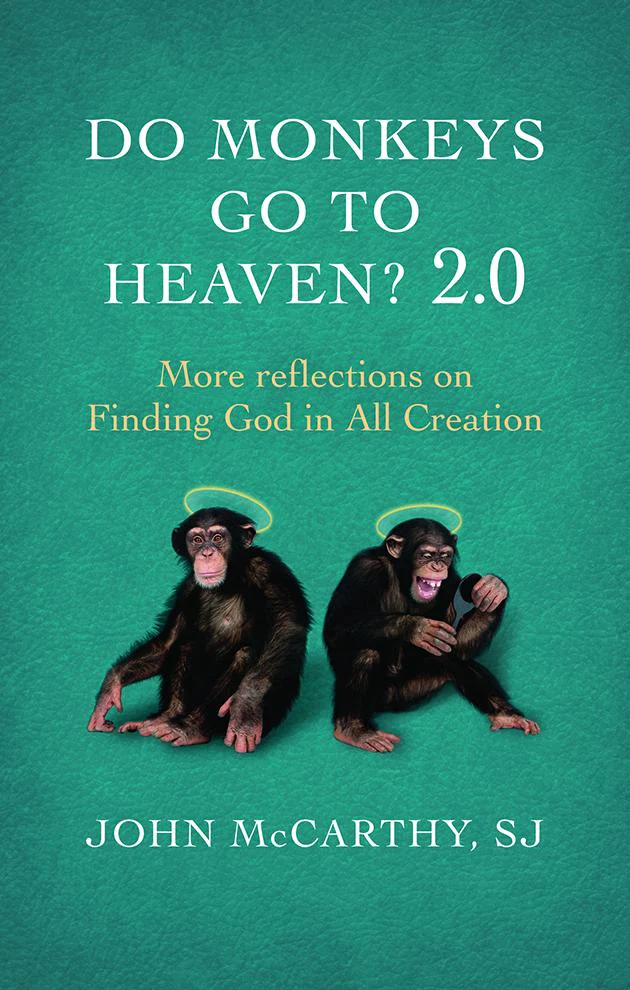 Do Monkeys Go to Heaven 2.0