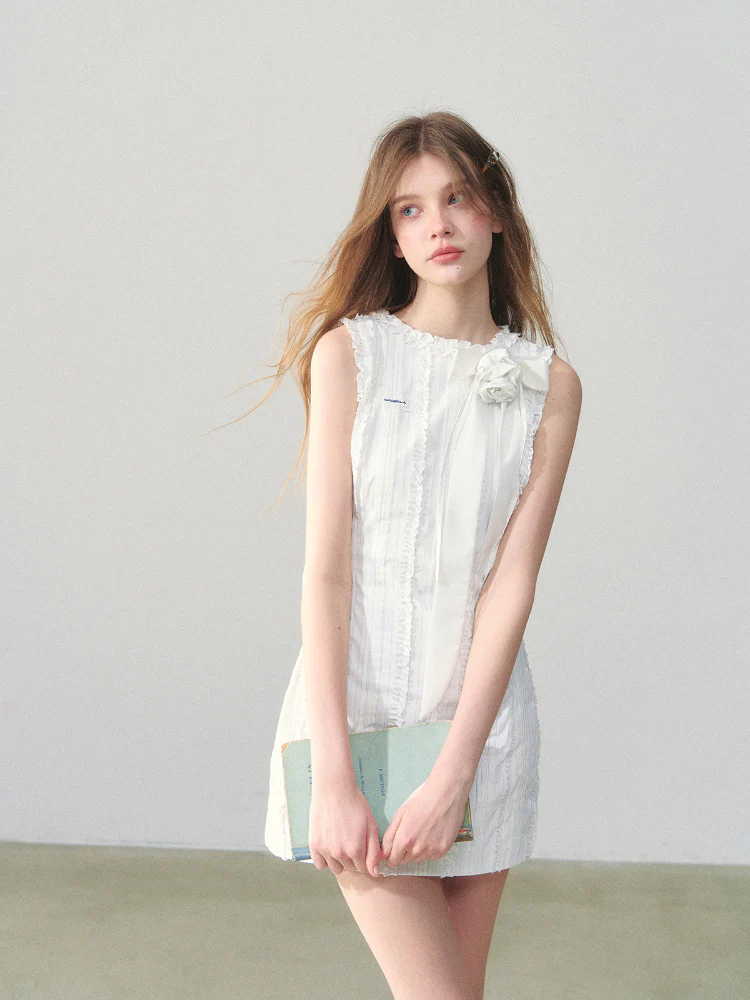 Vertical Striped Lace Dress