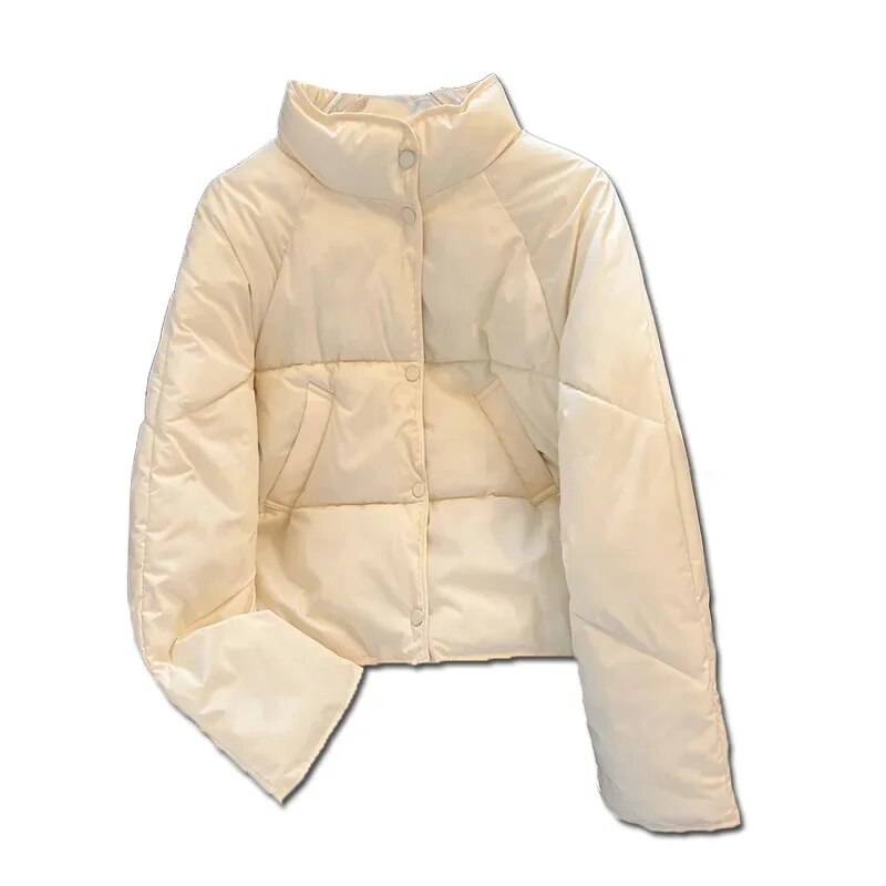 New  Winter Fashion Warm Women's Long Sleeve Parkas Solid Color Winter Coat Cotton Bubble Jacket Women's Fluffy Down Jacket